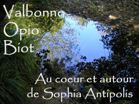 Sophia Antipolis