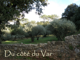 Var